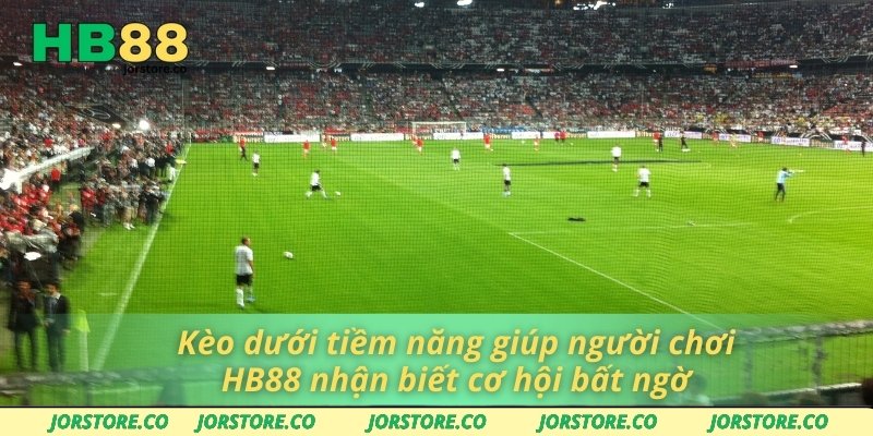 Kèo dưới tiềm năng giúp người chơi HB88 nhận biết cơ hội bất ngờ