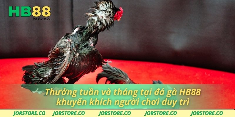 Đá Gà HB88 Thưởng tuần và tháng tại đá gà HB88 khuyến khích người chơi duy trì